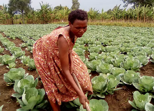 Sponsor a Leader (Uganda)